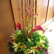 Kaly a orchideje