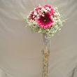 Gerbery a Gypsophila