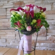 kaly,fr�sie a tulip�ny